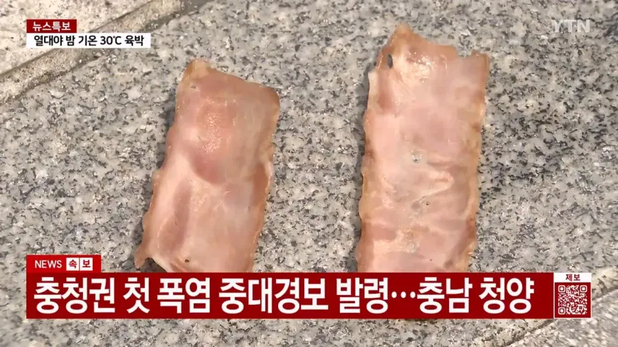 요즘 계란값이 비싸다는 증거 (2)