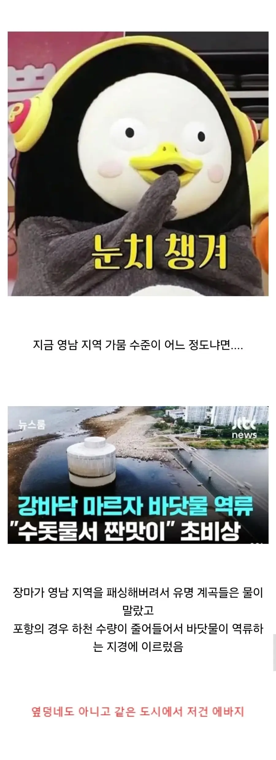 농촌은 가뭄인데 도시에서는 물놀이 (2)