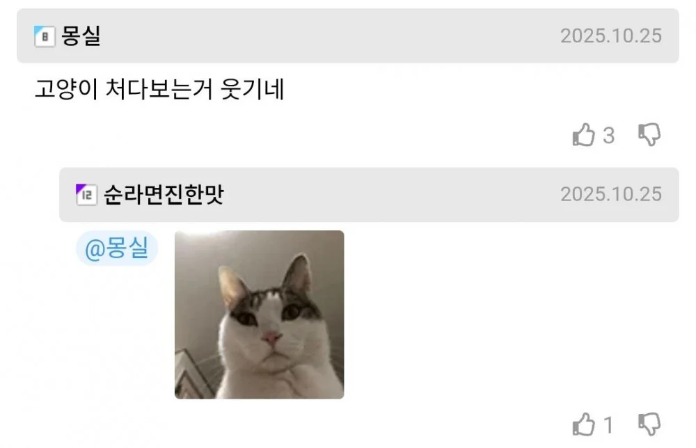 묻지마 폭행하다 역으로 맞는 사람 (2)