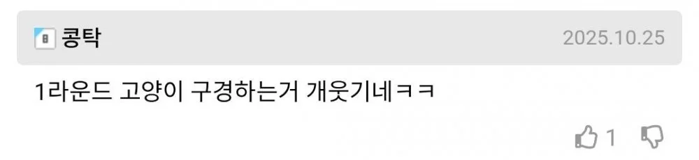 묻지마 폭행하다 역으로 맞는 사람 (3)