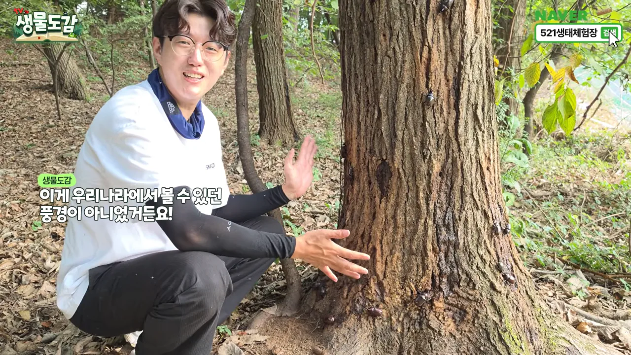 최근 전국적으로 갑자기 대거 출몰하고 있는 곤충 (14)