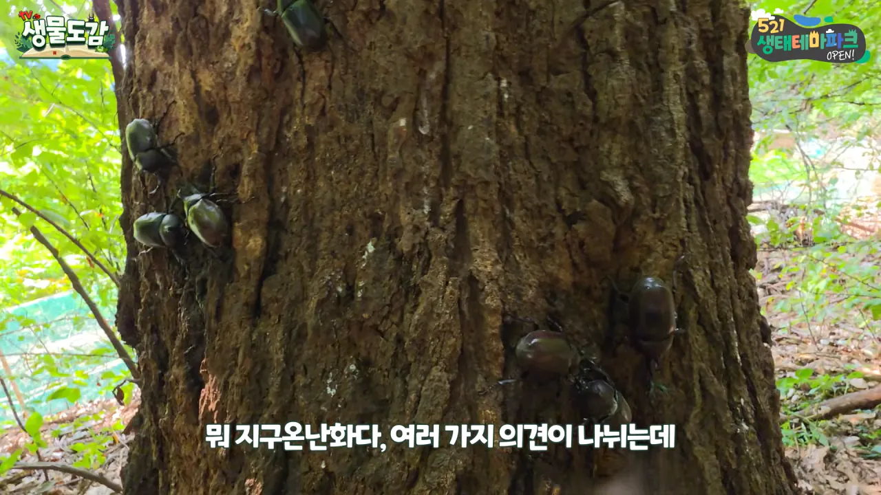 최근 전국적으로 갑자기 대거 출몰하고 있는 곤충 (16)