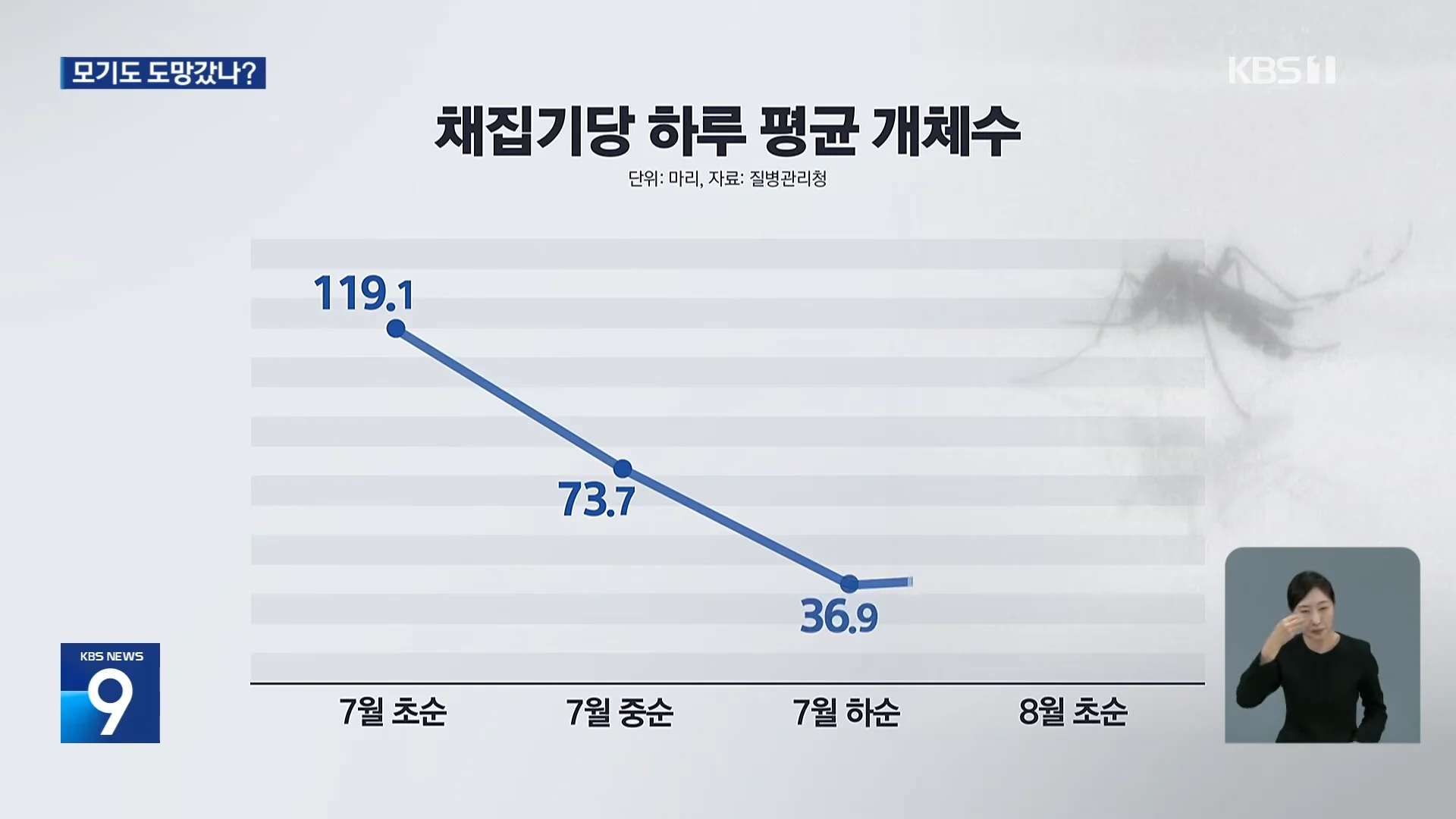 모기도 질렸다...폭염에 개체수 급감 (4)