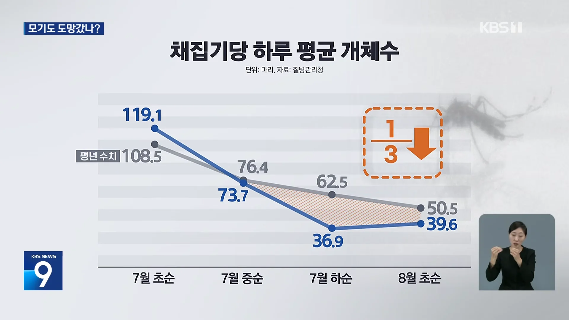 모기도 질렸다...폭염에 개체수 급감 (5)