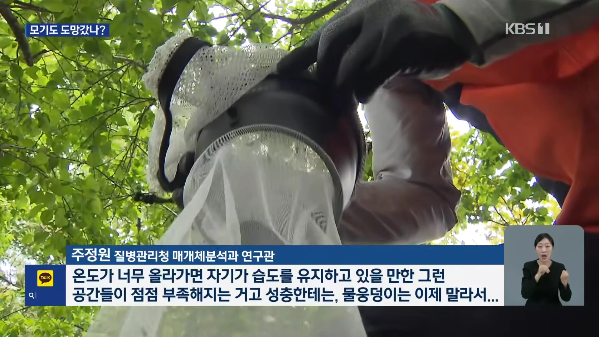 모기도 질렸다...폭염에 개체수 급감 (8)