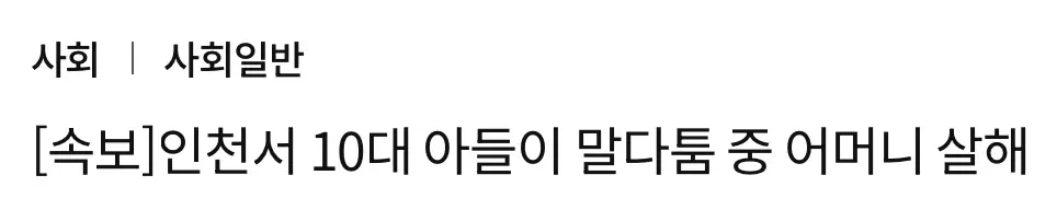 인천서 10대 아들이 말다툼중 어머니 살해 (2)