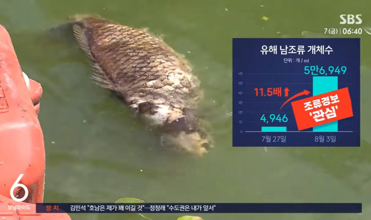 심각한 경남 지방 가뭄 (13)