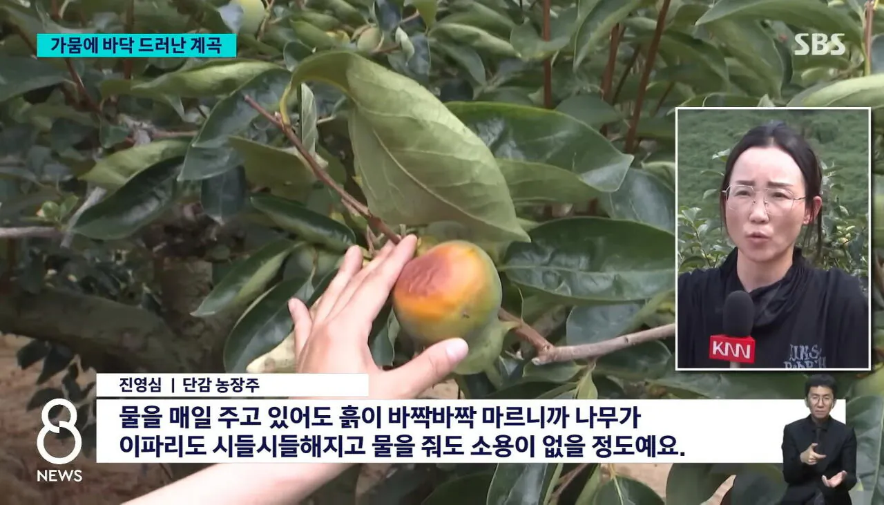 심각한 경남 지방 가뭄 (8)
