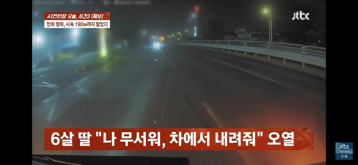 4살, 6살 딸 태우고 음주운전하다 사망사고 낸 엄마 (블랙박스 공개) (15)