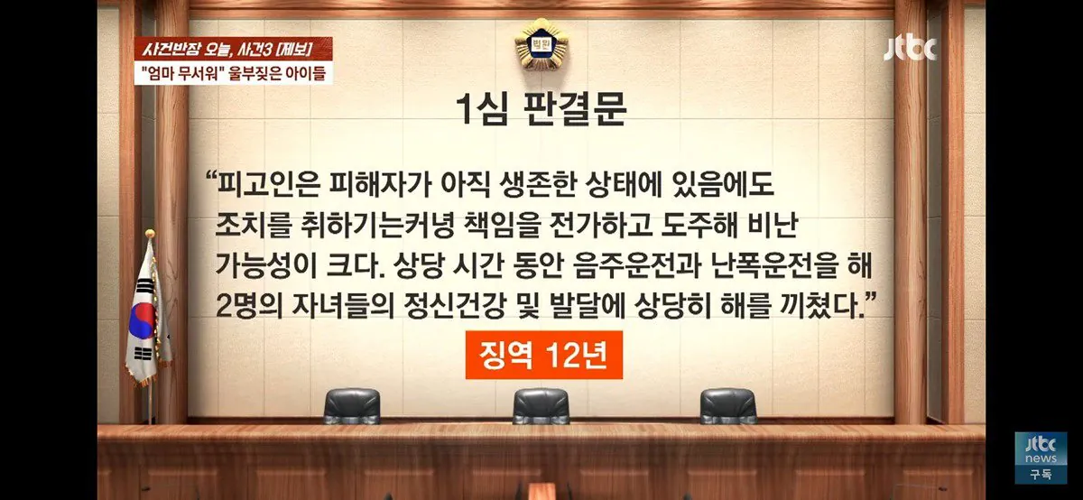 4살, 6살 딸 태우고 음주운전하다 사망사고 낸 엄마 (블랙박스 공개) (23)