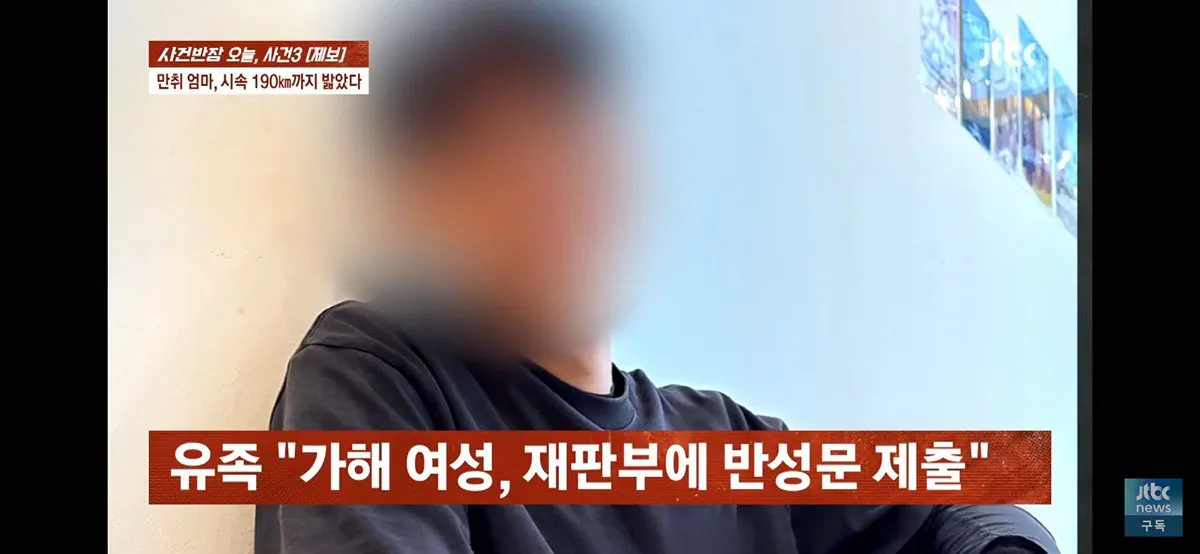 4살, 6살 딸 태우고 음주운전하다 사망사고 낸 엄마 (블랙박스 공개) (24)
