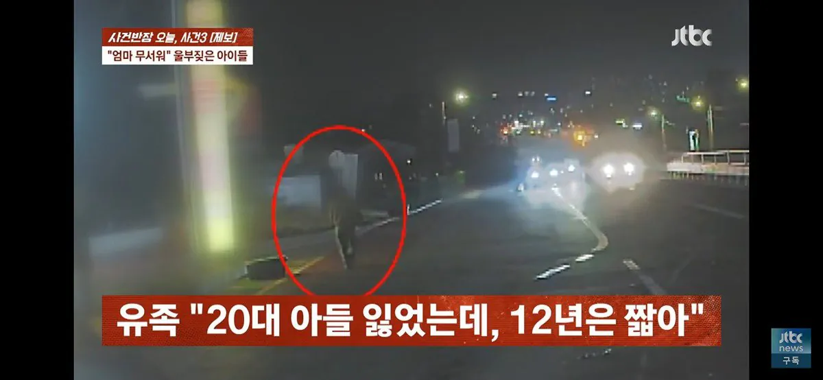 4살, 6살 딸 태우고 음주운전하다 사망사고 낸 엄마 (블랙박스 공개) (26)