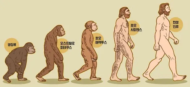 그림으로 보는 인류의 진화 과정