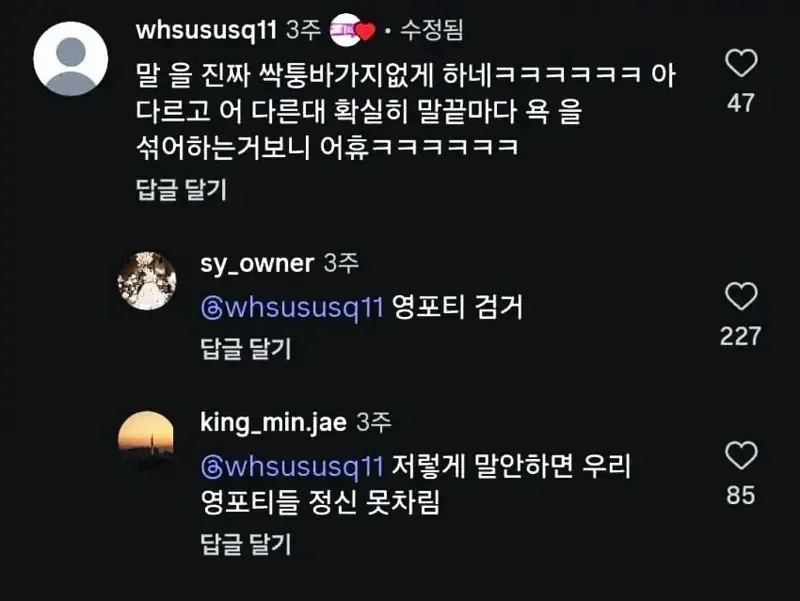 영포티 폭행녀 (18)