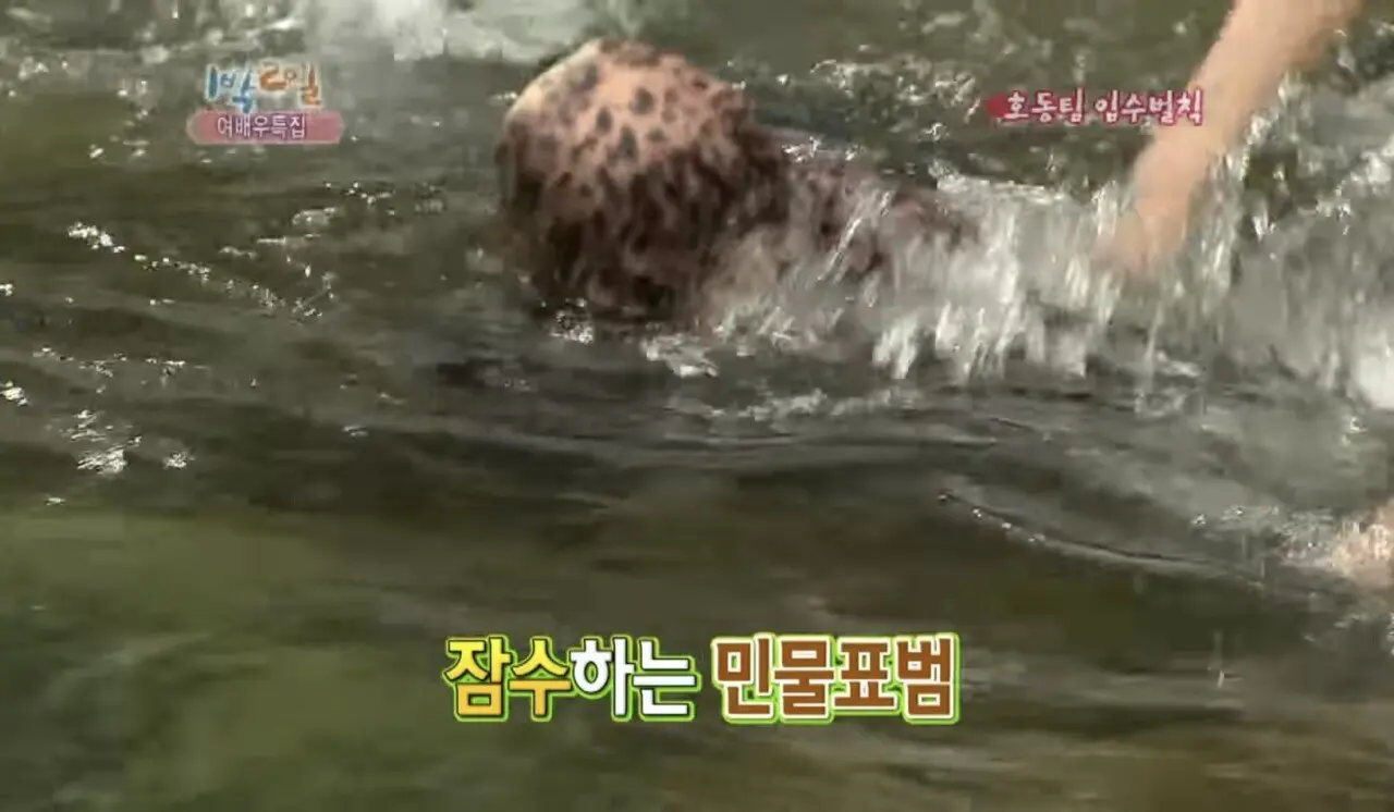 1박2일 여배우 특집 비상사태 (7)