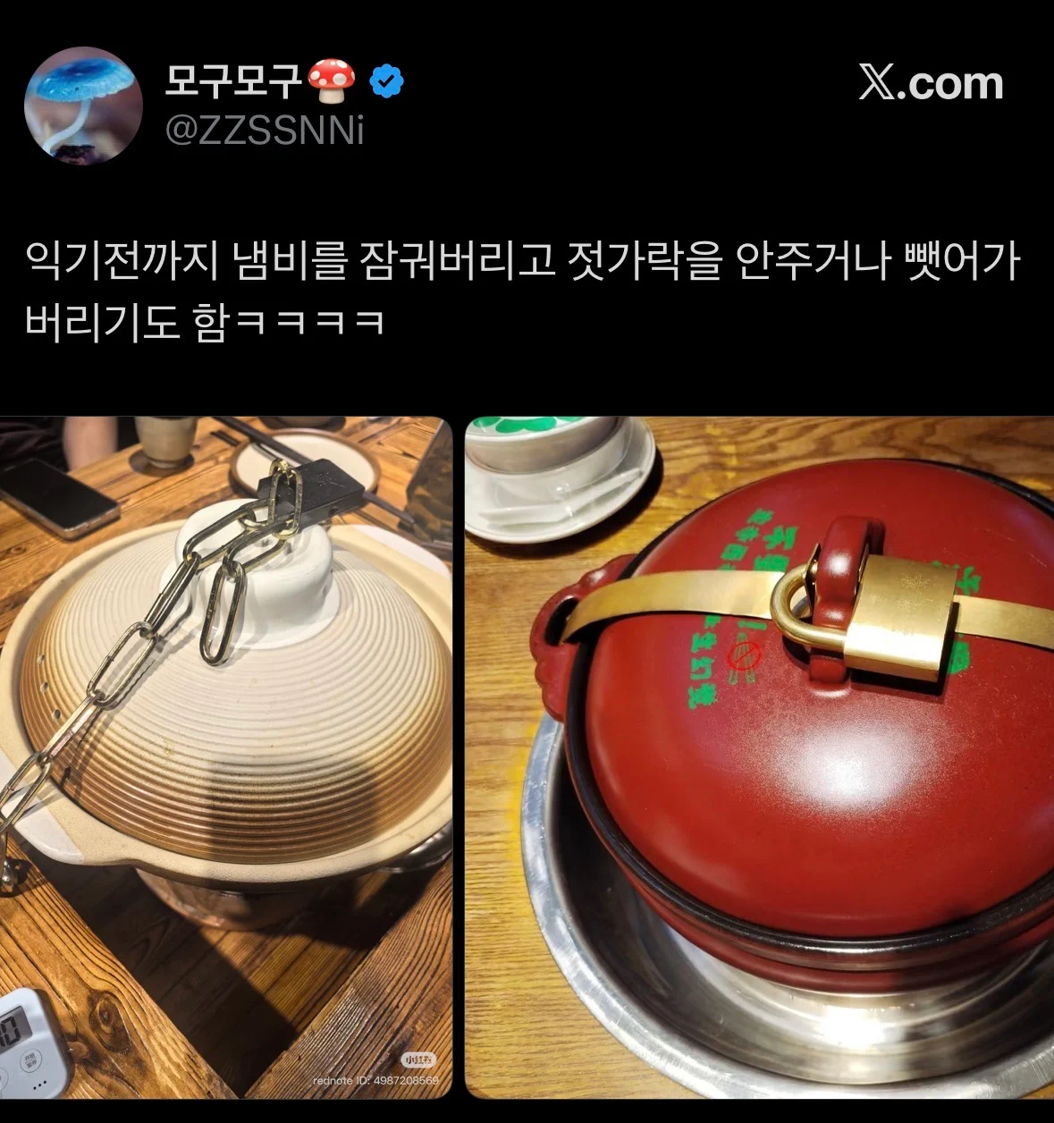 중국의 (독)버섯 먹는법 (2)