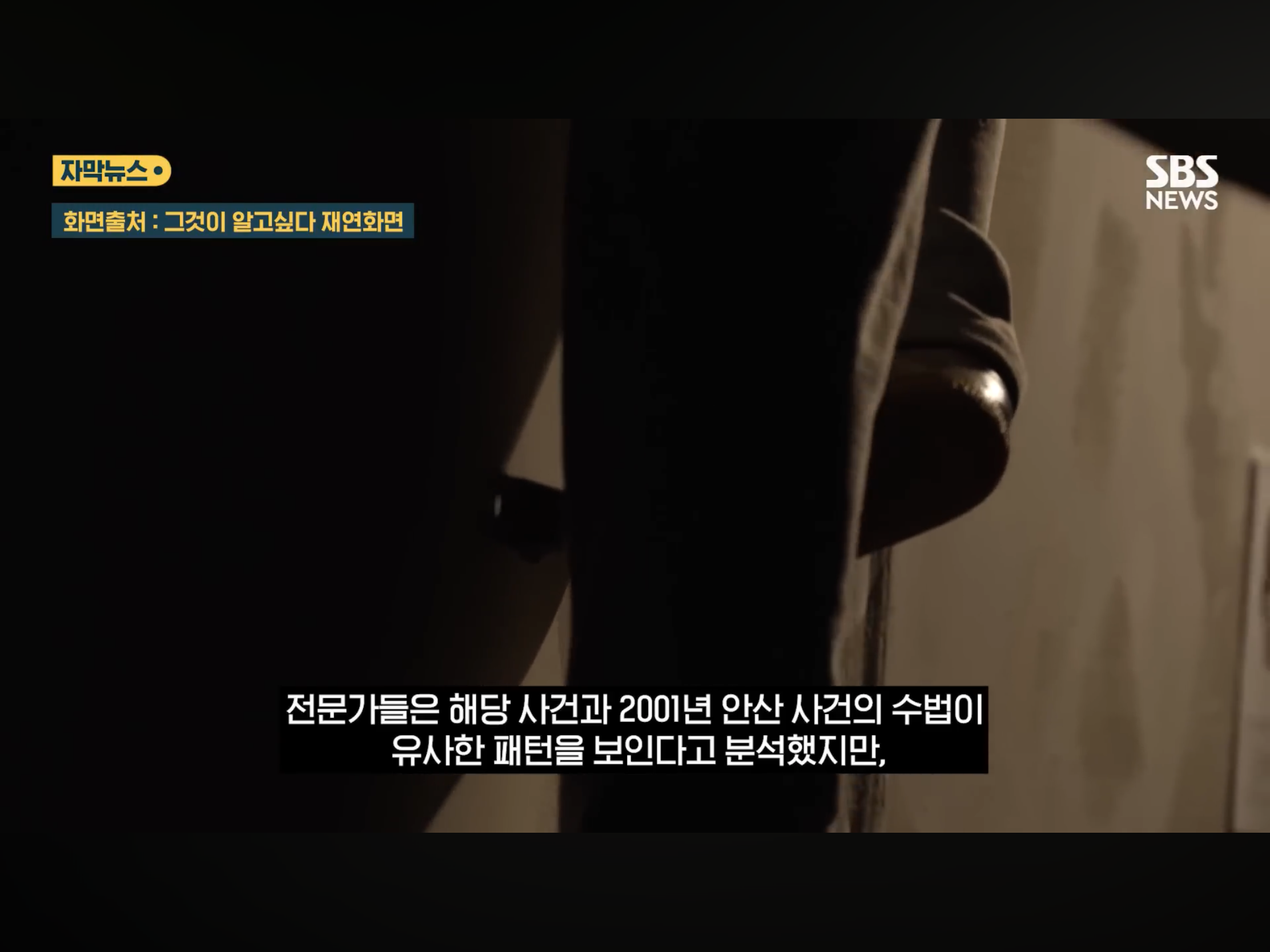 “벌레도 못죽이는 아들”, 성폭행하고 살인 저질러 (15)