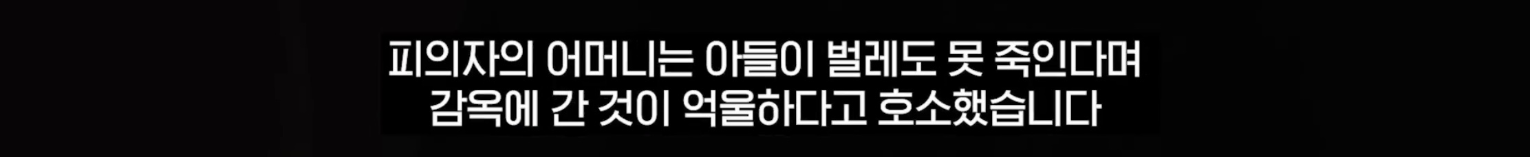 “벌레도 못죽이는 아들”, 성폭행하고 살인 저질러 (16)