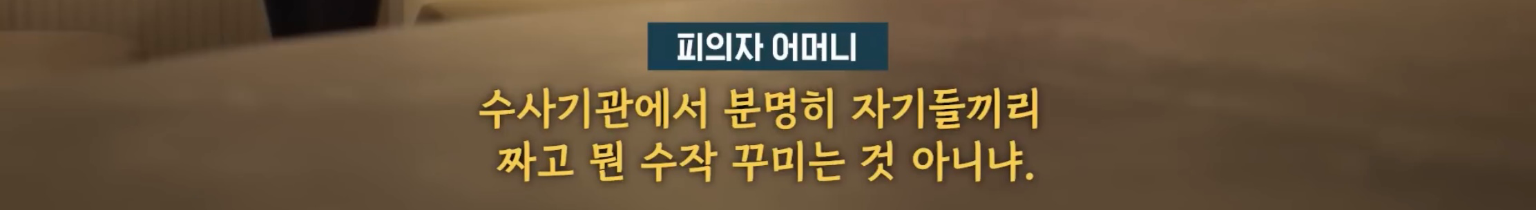 “벌레도 못죽이는 아들”, 성폭행하고 살인 저질러 (18)