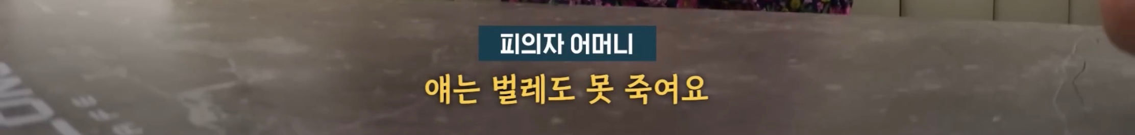 “벌레도 못죽이는 아들”, 성폭행하고 살인 저질러 (19)