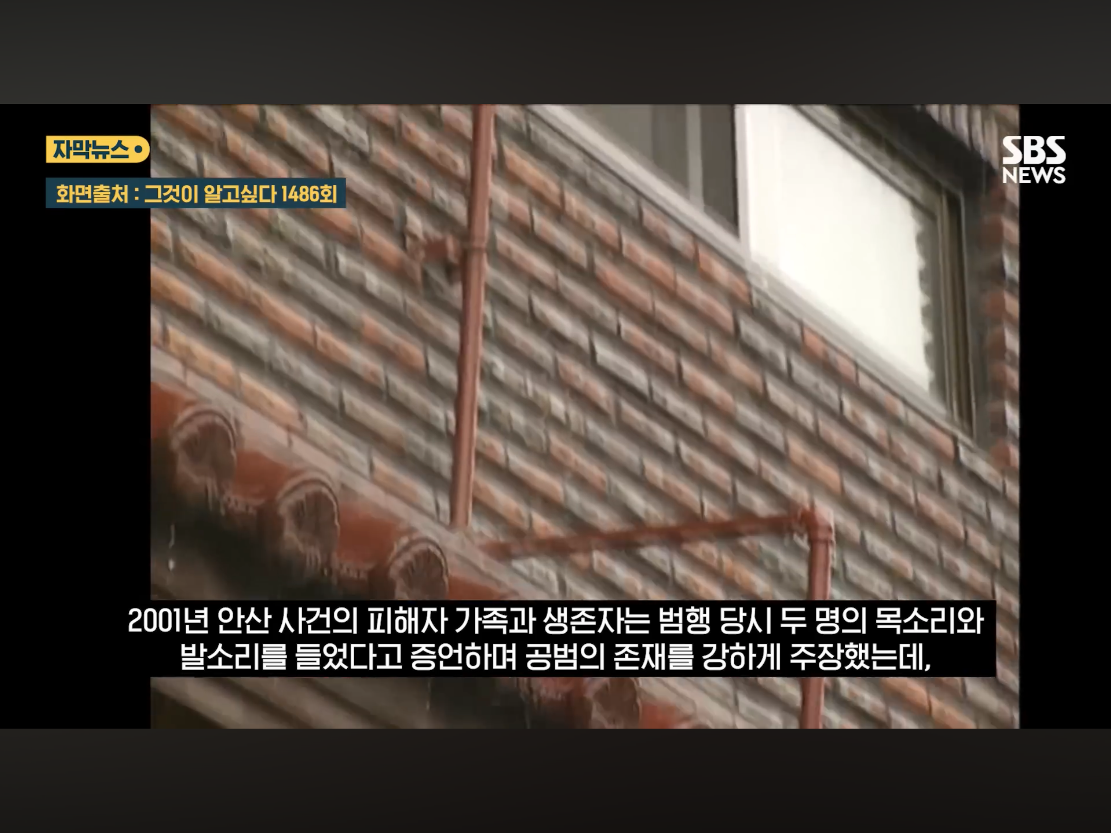 “벌레도 못죽이는 아들”, 성폭행하고 살인 저질러 (20)