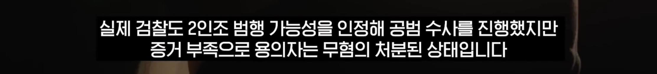 “벌레도 못죽이는 아들”, 성폭행하고 살인 저질러 (21)