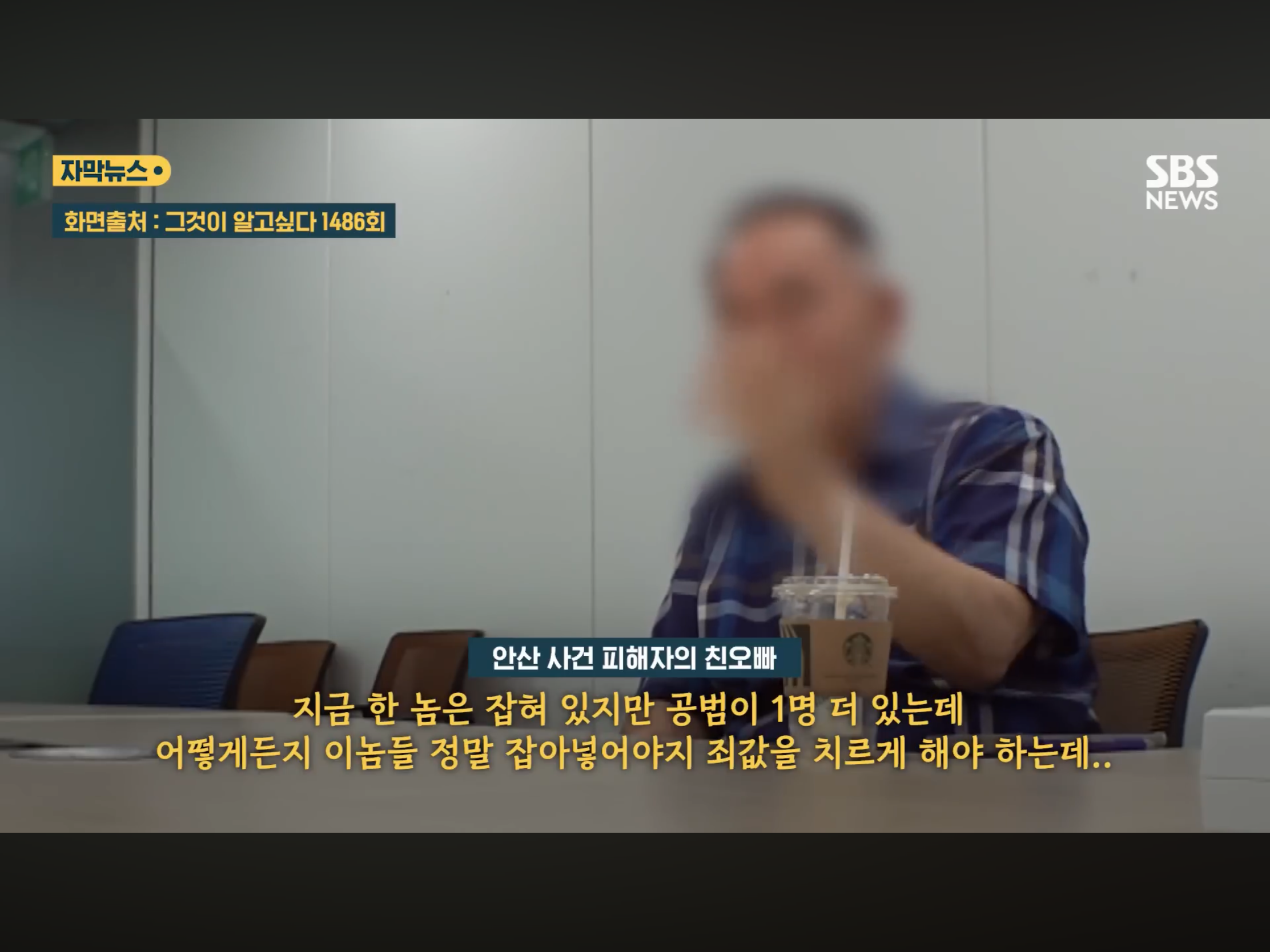 “벌레도 못죽이는 아들”, 성폭행하고 살인 저질러 (24)