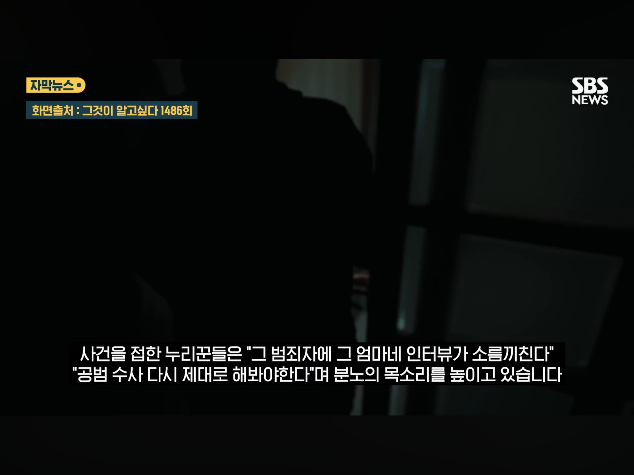 “벌레도 못죽이는 아들”, 성폭행하고 살인 저질러 (25)