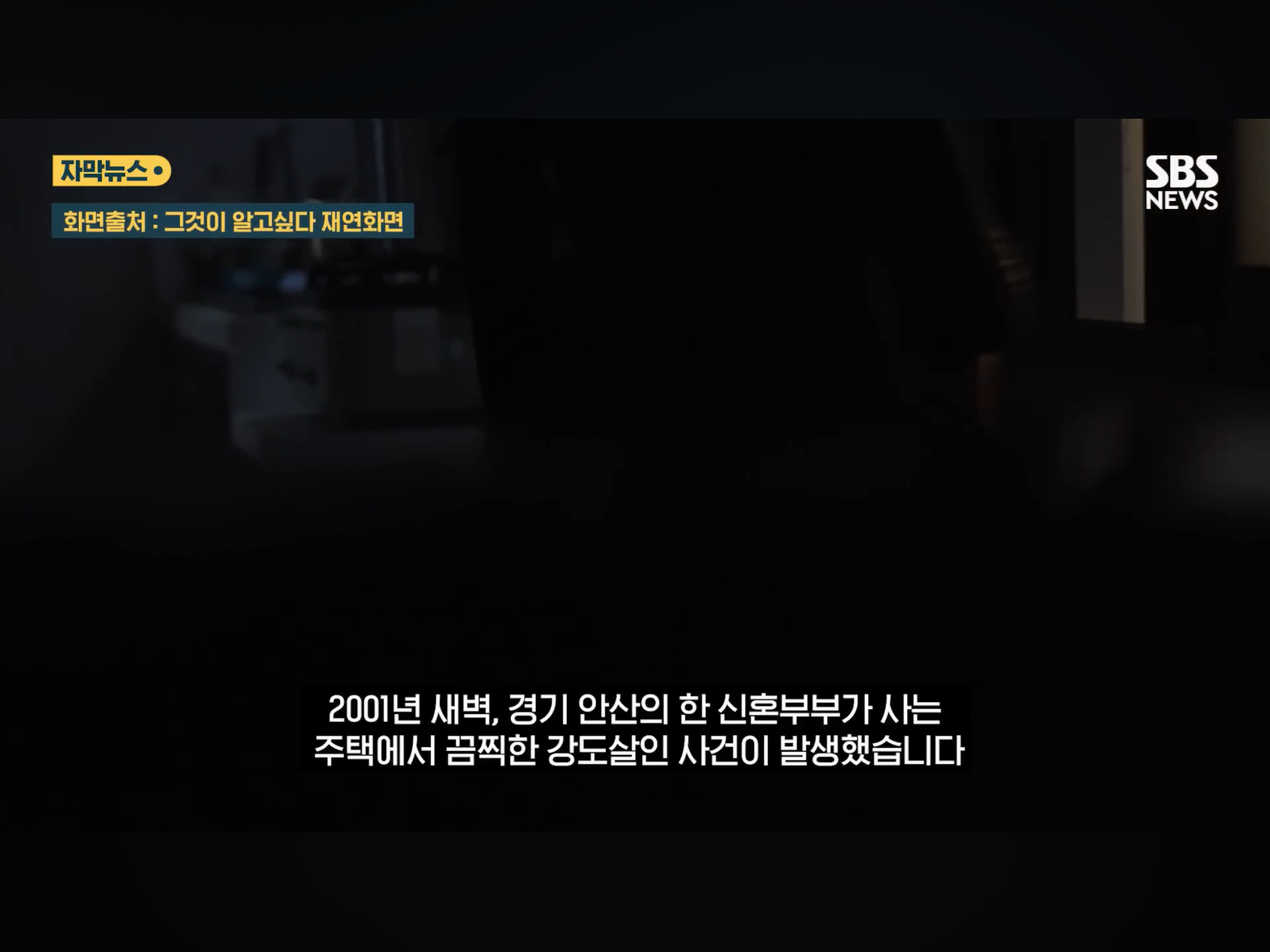 “벌레도 못죽이는 아들”, 성폭행하고 살인 저질러 (3)