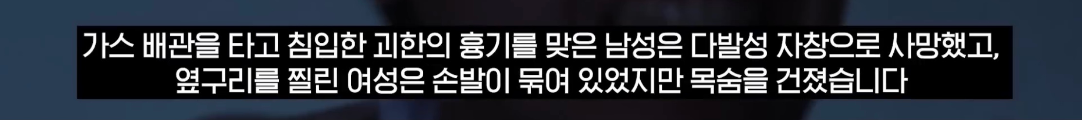 “벌레도 못죽이는 아들”, 성폭행하고 살인 저질러 (4)