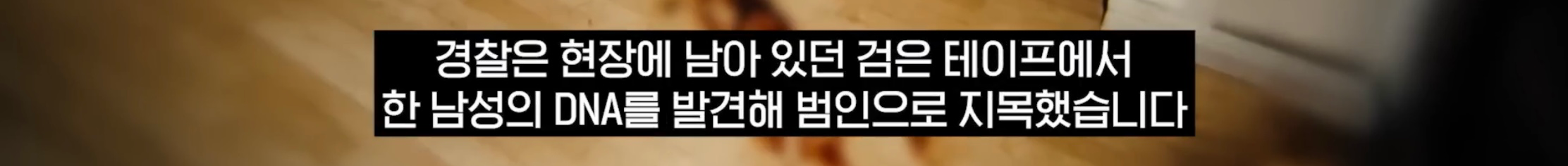 “벌레도 못죽이는 아들”, 성폭행하고 살인 저질러 (6)
