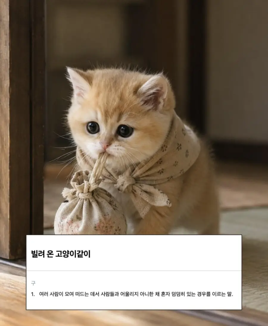 귀여운 한국 속담 모음 (3)