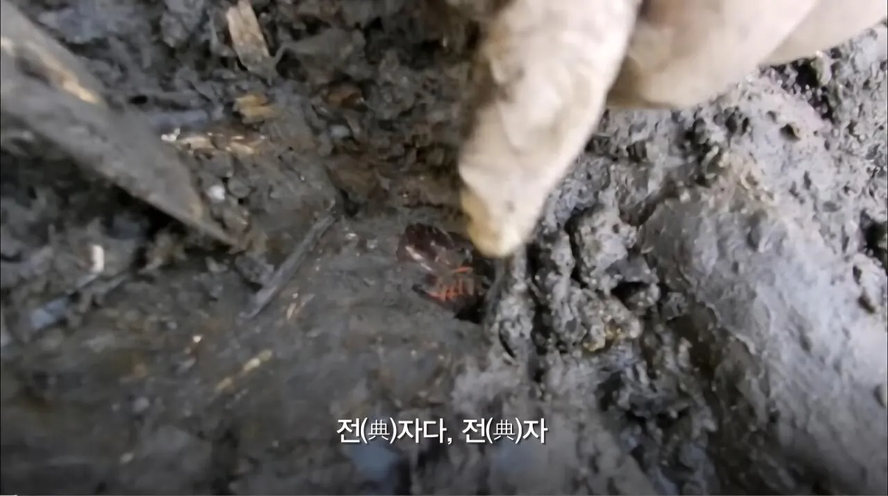 1400년만에 발굴된 갑옷 (2)