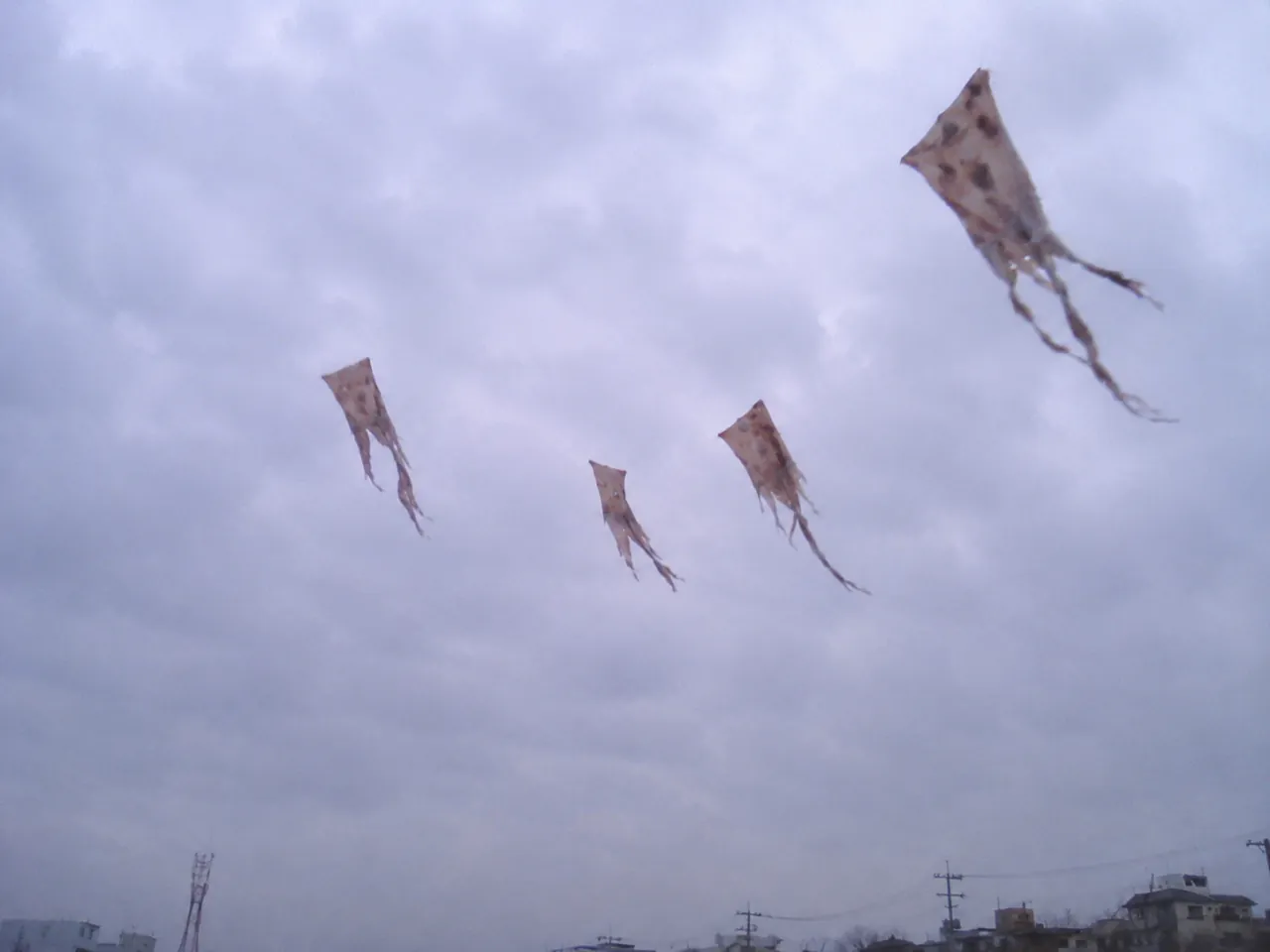 다들 알지만 기괴한 사진 모음 (7)