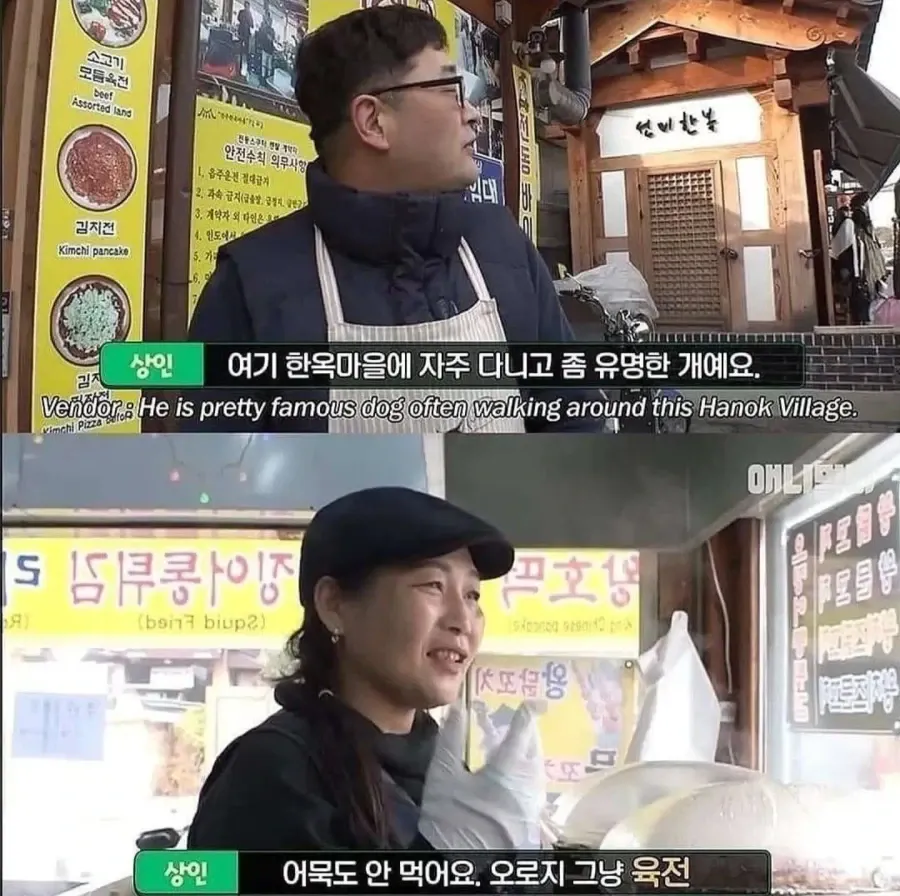 절에사는 식탐없는 개 (7)