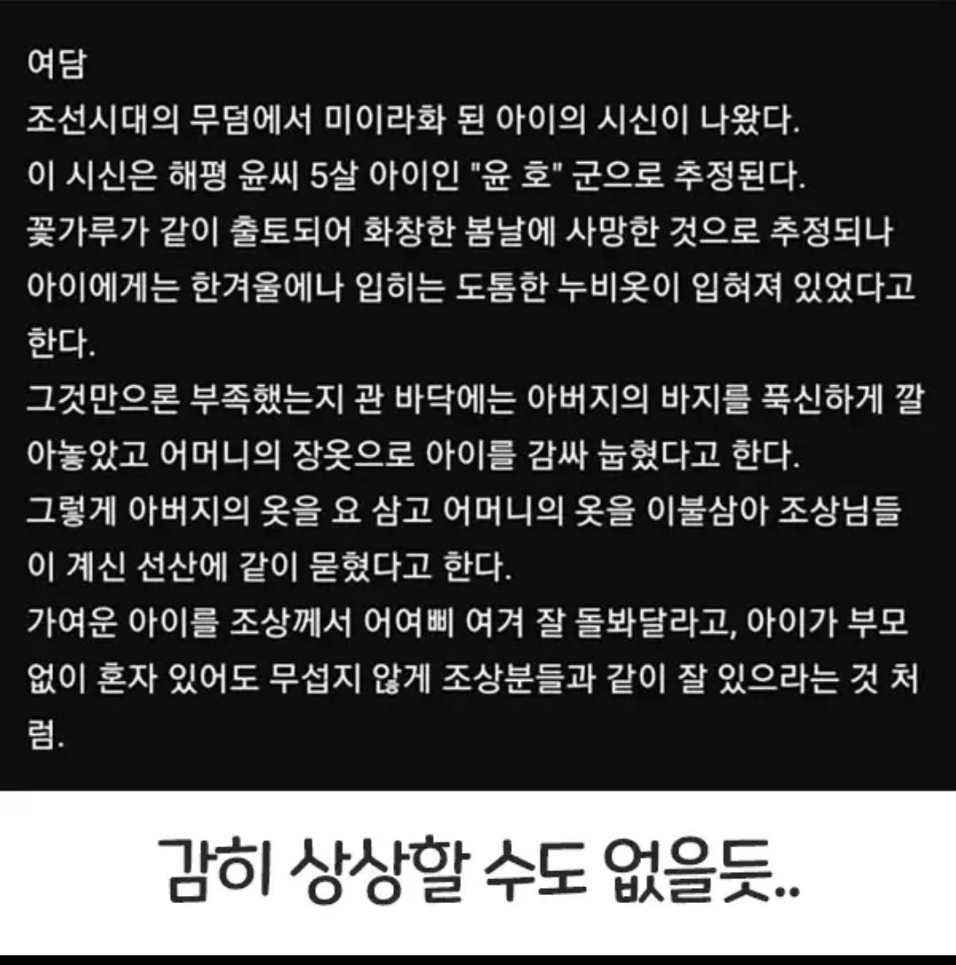 예법이 따로 없다는 아기장례식 (3)