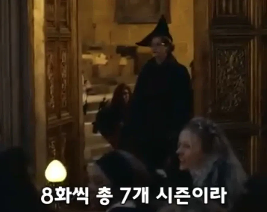 역대급으로 돈을 쏟아부은 해리포터 드라마 제작비 (17)