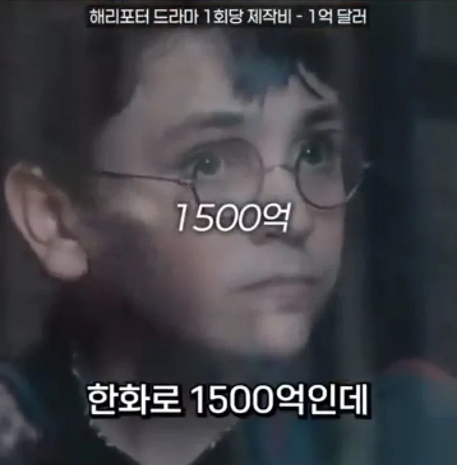 역대급으로 돈을 쏟아부은 해리포터 드라마 제작비 (9)