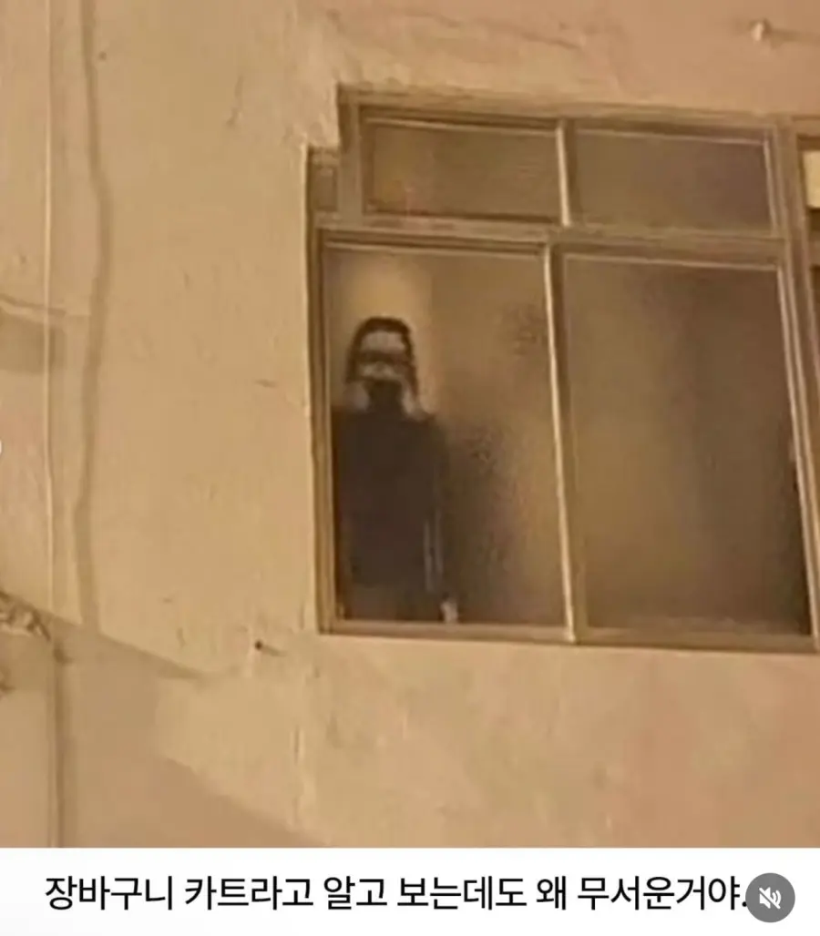 길가다 장바구니 카트 보고 기절 할뻔 (2)