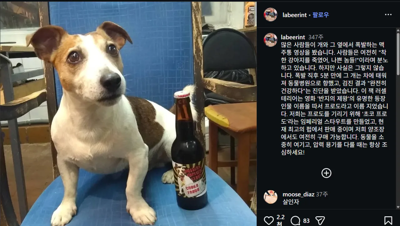 맥주통 가지고 놀다가 터져서 기절한 댕댕이 + 근황