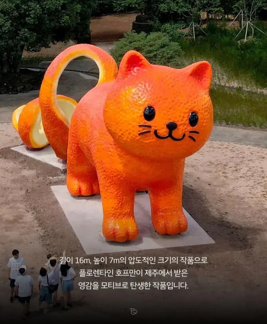 제주도에 나타난 거대 고양이 (2)