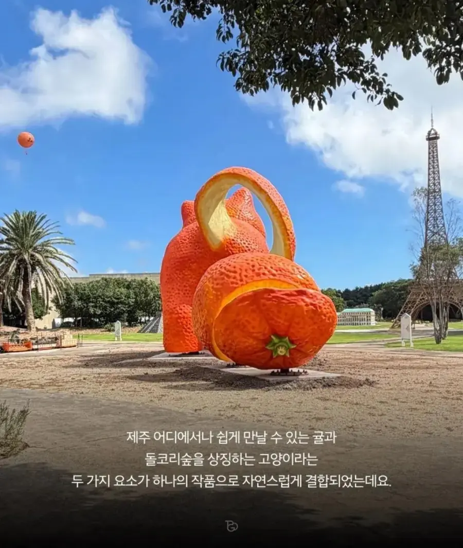 제주도에 나타난 거대 고양이 (3)