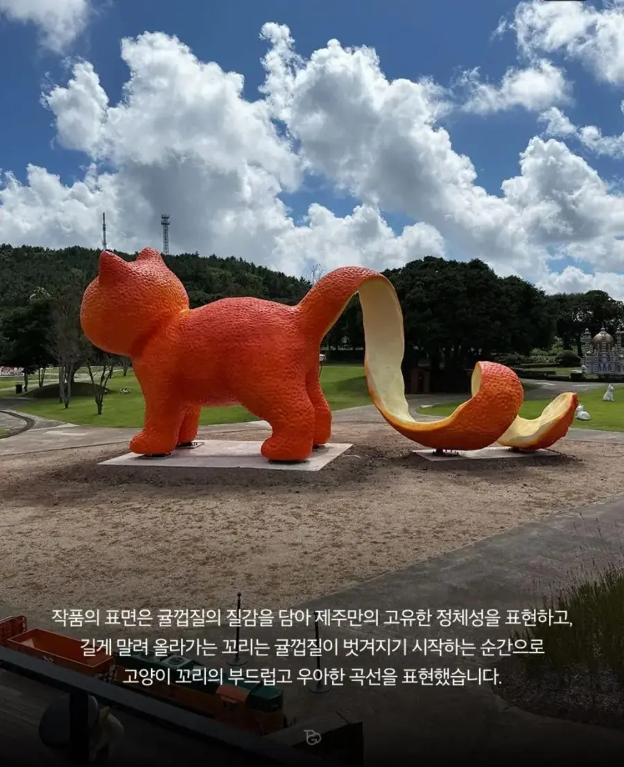 제주도에 나타난 거대 고양이 (4)