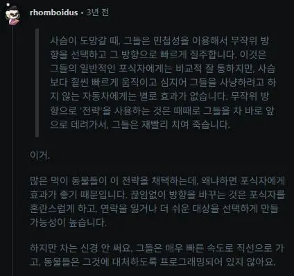 이해하기 어려운 사슴의 습성