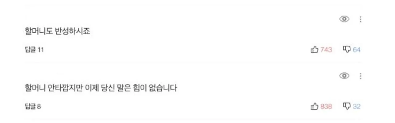 위안부 할머니께 '걸레사진' 까지 보내며 조롱했던 네티즌들 (7)
