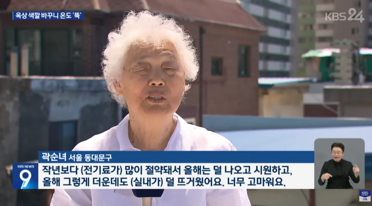 페인트만 바꿨는데 옥상 색깔 바꾸니 온도 '뚝' (9)
