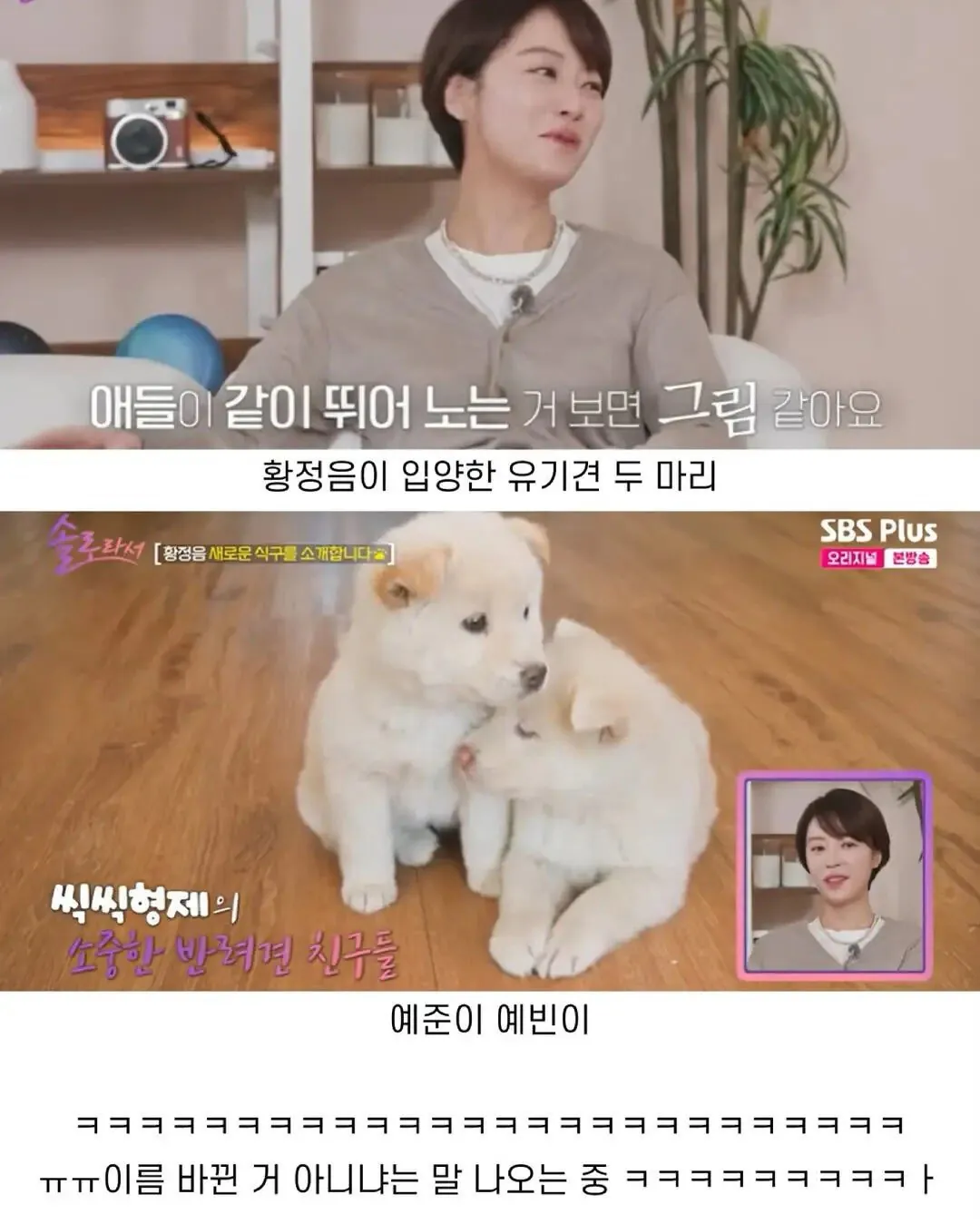 뭔가 바뀐거같은 황정음 가족 이름 (2)