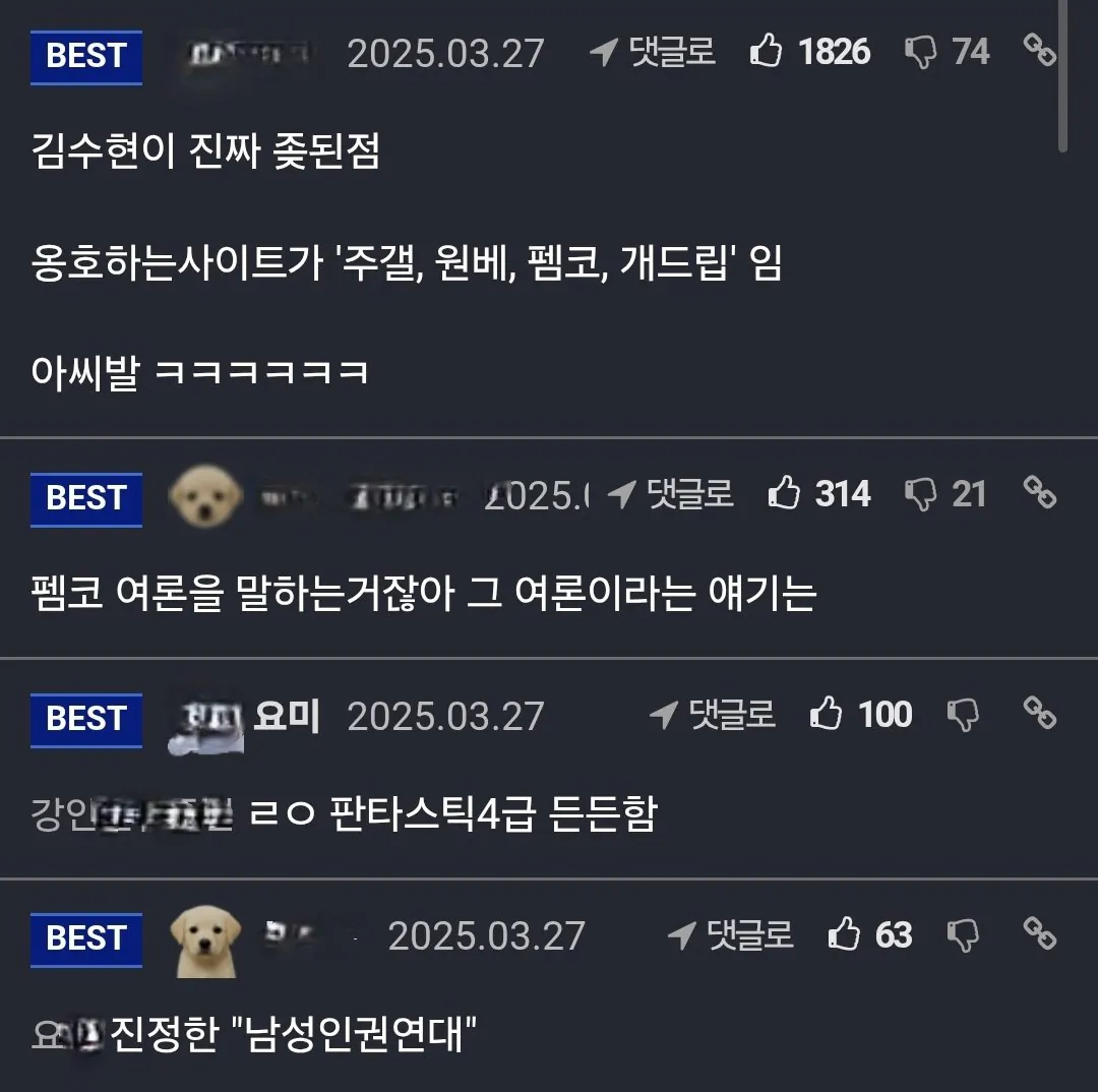 1년전 펨코에 달린 김수현 관련 댓글 (2)