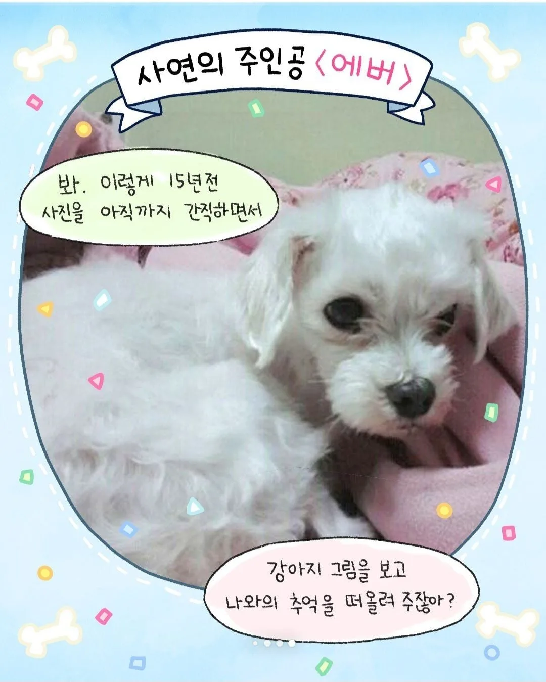 갑자기 찾아온 모르는 강아지 (10)