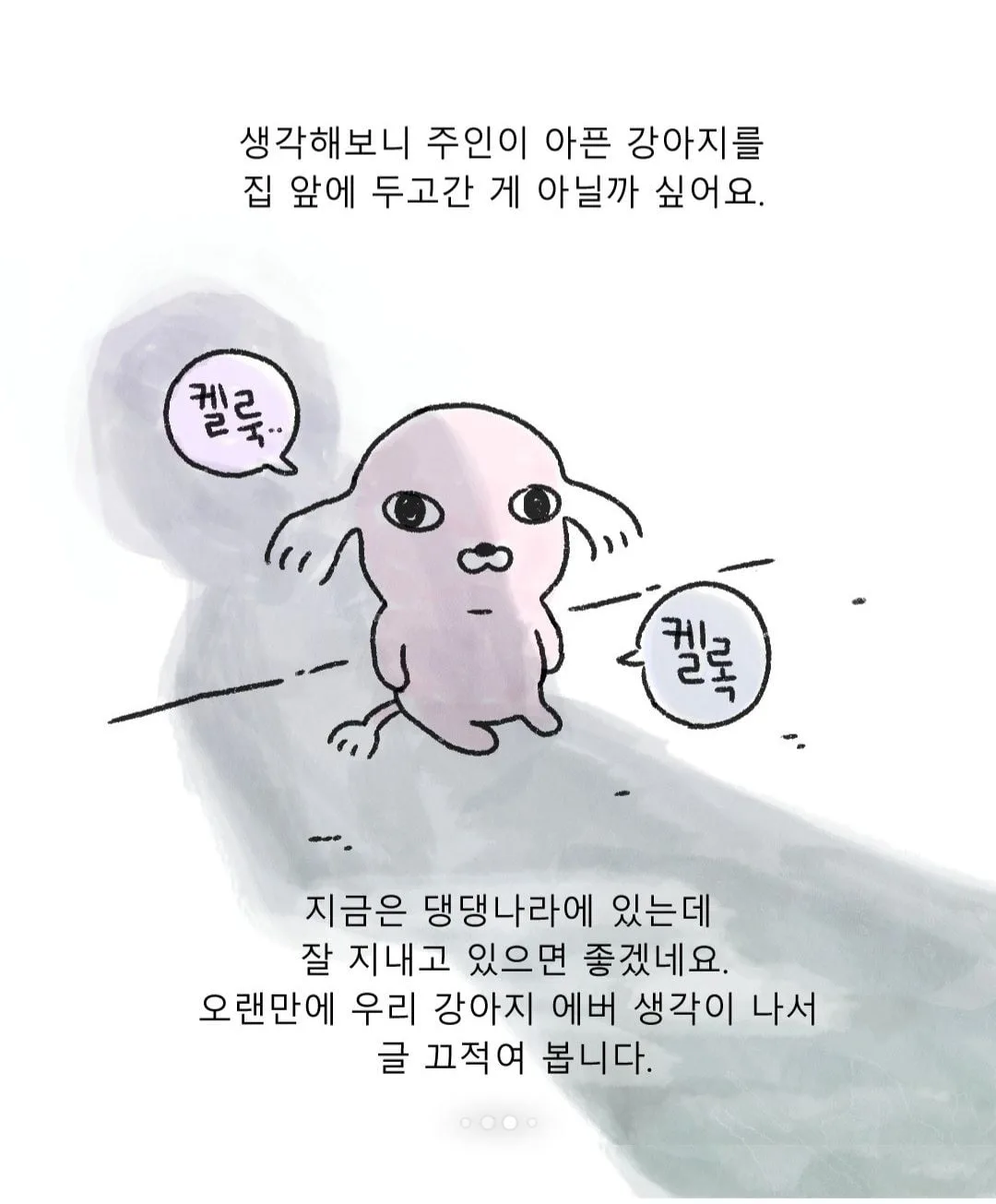 갑자기 찾아온 모르는 강아지 (8)
